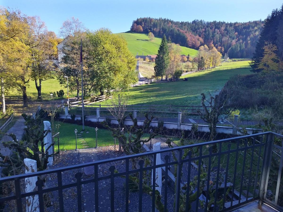 Apartment Meinradsberg Mit Balkon Einsiedeln Eksteriør bilde