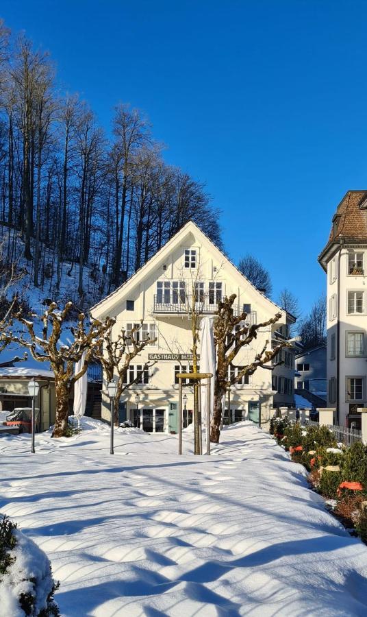 Apartment Meinradsberg Mit Balkon Einsiedeln Eksteriør bilde